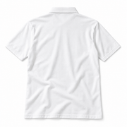 Aster Polo